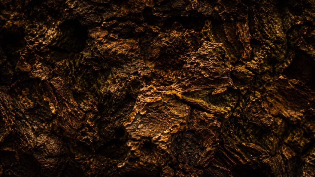 Bark image