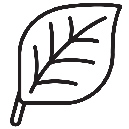 Leaf icon