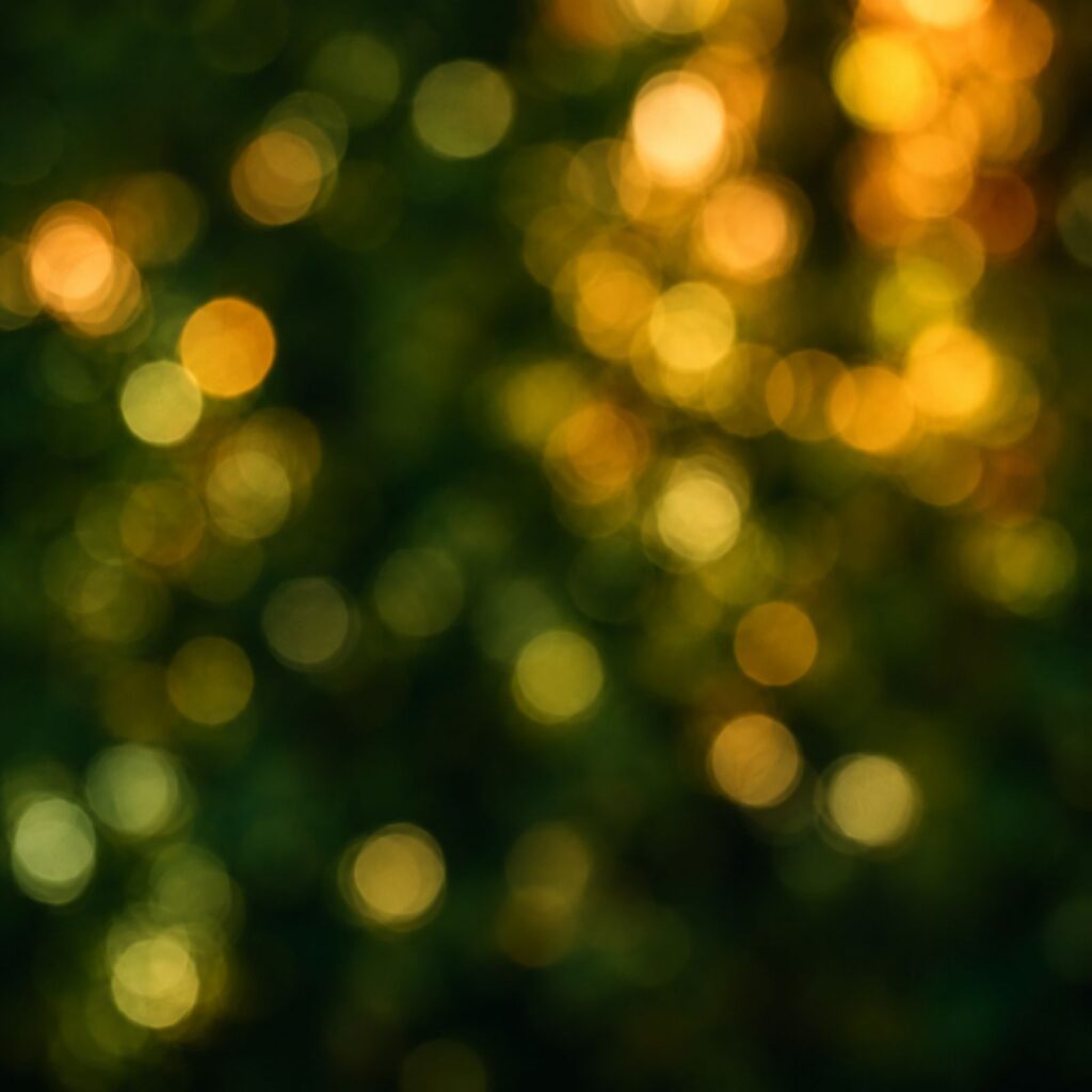 Sunlight image